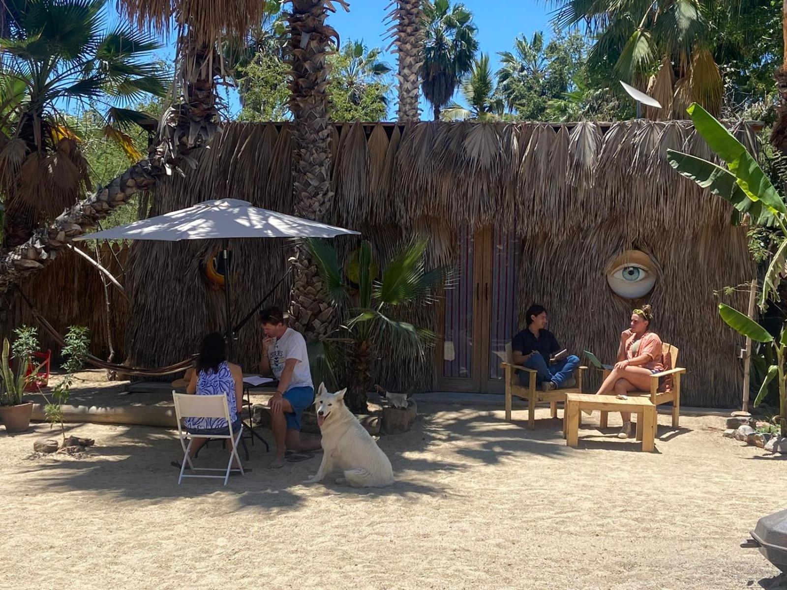 La Sardina Hostel Todos Santos Exterior photo